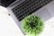 Top view, green artificial flowerpot on a modern thin laptop, aluminum material, isolated on a light background.