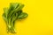 Top view green fresh bok choy or Cantonese Green Cabbage on yellow background