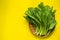 Top view green fresh bok choy or Cantonese Green Cabbage on yellow background