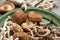 Top view of a green plate with lots of white and brown shiitake and shimeji mushrooms