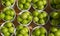 Top view of green plums or greengage in paper cup on sale in the street in Turkey, popular spring fruits with a very sharp sour