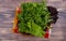 top view of green vegetables as coriander mint lettuce basil in basket on cloth on wooden background