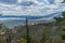 Top view on green yellow coast of bay blue Baikal lake. Dead trees bare trunks after fire on slope of mountain.Green pine branches