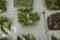 Top view of greens lying in plastic bags on the table