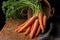 Top view of group of carrots with green leaves, on copper bowl and dark dishcloth, on weathered wooden table, with black backgroun