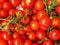 Top view of a group of cherry tomatoes