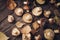 Top view group of forest mushrooms Suillus laid out on a wooden table