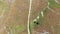 Top view of group of friends riding a bike along a dirty road. Green bushes, white rocks on the road sides. Arid