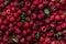 Top view of group of raspberries