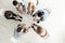 Top view on group of teenagers sitting in a circle during consul