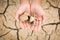 Top view hands holding carcass of crab on crack dry ground