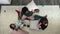 Top view of happy family pillow fighting on carpet