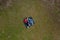 Top view of a happy family sitting on a checkered blanket in the forest plain, looking up and and waving a hand