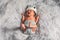 Top view happy newborn baby lying sleeps on a white blanket raise hands up comfortable and safety.Cute Asian newborn sleeping and