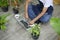 Top view of happy senior asian retired man with laptop  is relaxing  and enjoying  leisure activity in garden at home