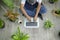 Top view of happy senior asian retired man with laptop  is relaxing  and enjoying  leisure activity in garden at home