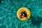 Top view of happy young woman floating in a pool in a yellow donuts. summer and fun lifestyle