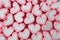 Top View of Heap of Pastel Pink and White Heart Shaped Marshmallow Candies for Background
