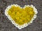 Top view. Heart shaped daisy and dandelion flowers bouquet on the road. Taraxacum. Bellis perennis.
