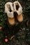 Top view of hiking boots standing on the stump in the forest.