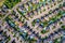 Top View of Houses in Residential Neighborhood in Montreal, Quebec, Canada