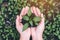 Top view image of hands holding soil and small tree to glow