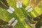 Top view Image of shoes of young teenagers girls standing in a circle on the grass of a park. Enjoying a happy moment and a