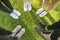 Top view Image of shoes of young teenagers girls standing in a circle on the grass of a park. Enjoying a happy moment and a