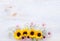 Top view image of sunflowers over white wooden background