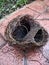 Top view of incredible engineering of bird nest after rain