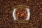 Top view of a jar full of herbs on a background full of coffee beans