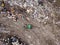 Top view of landfill and green truck, environmental hazard