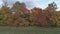 Top view of the landscape of central Russia with trees that are covered with autumn foliage.