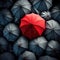 Top view of a large number of umbrellas open in the rain one of them is red