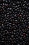 Top view of a layer of black beans, dry legumes