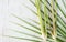 Top view Lemon Grass on wood background