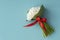 Top view of little bouquet of white snowdrops tired up with red ribbon on light blue background, lots of copy space,