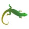 Top view lizard icon, cartoon style