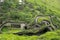 Top-view of lohagad fort .