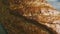 Top view macro panorama of whole oblong wheaten bread