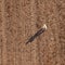 Top view of male farmer flying a drone in field