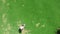 Top view of male player`s successful golf hit