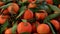 Top view of mandarin orange with leaves in wooden box