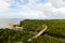 Top view of mangrove forest.