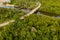 Top view of mangrove forest.