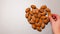 Top view of many pecans nut on gray background. Inshell walnut with cracks in the shape of a heart. Man hand puts nut on