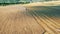 Top view of a massive field with cereal crops getting harvested