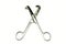 Top view of Medical umbilical cord scissor for cut intestines and veins damaged or torn