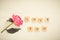 Top view Message I love you spelled in wooden blocks with pink peony flower on white wooden table. Love, Valentines day background