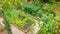 Top view of a modern garden with raised wooden beds for growing organic vegetables and greens according to organic farming